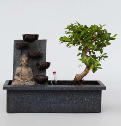 Bonsaï avec système d'eau - Bouddha