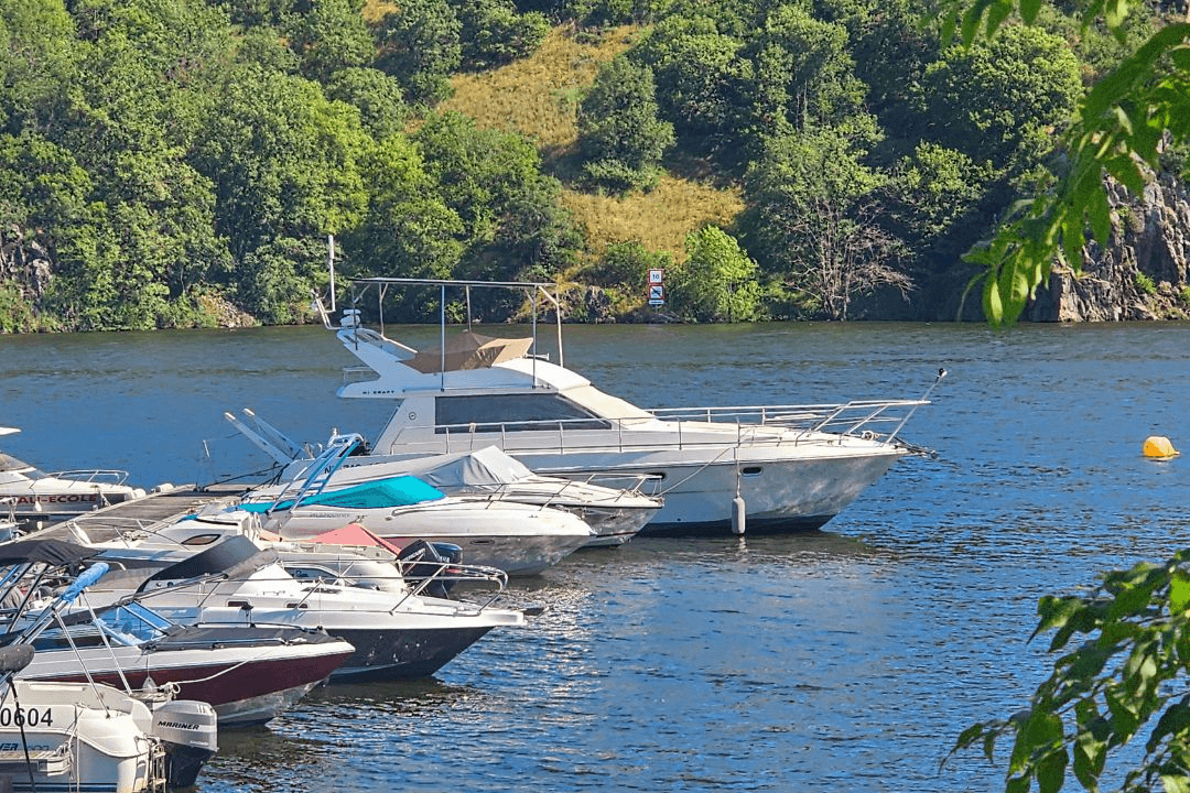 Produit : Ligérien Bully