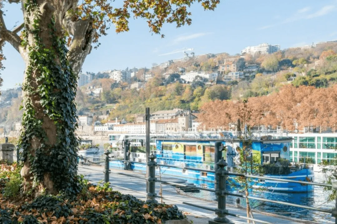 Produit : Sofia Lyon