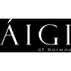 Logo Aigi Time